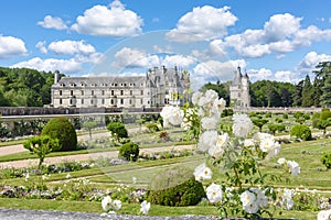 Flowers in garden of Chenonceau Castle Chateau de Chenonceau, Loire valley, France