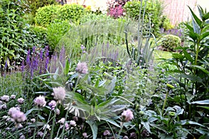 Flowers garden with different species of perennials and herbs