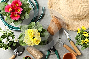 Flowers, gardening tools and accessories on background, top view