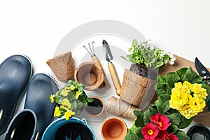 Flowers and gardening tools on background, top view