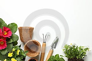 Flowers and gardening tools on background, top view