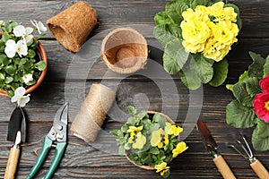 Flowers and gardening tools on background, top view