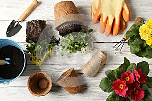 Flowers and gardening tools on background, top view