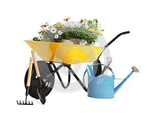 with flowers and gardening tools isolated on white