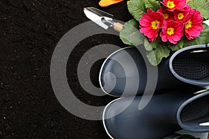 Flowers and gardening tools on soil background