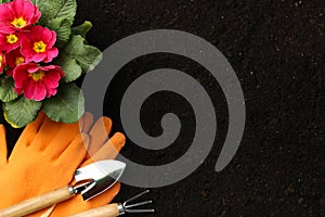 Flowers and gardening tools on soil background