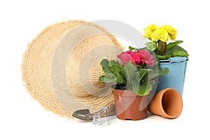 Flowers, gardening tools and straw hat isolated on background