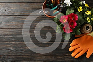 Flowers and gardening tools on wooden background