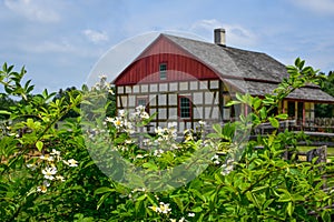 Flowers by German House at Old World Wisconsin