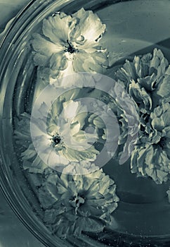 Flowers in a glass bowl with water