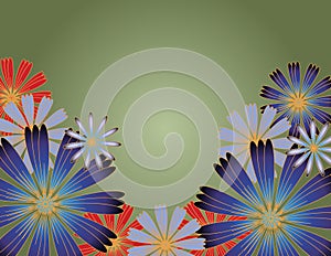 Flowers with gradient background