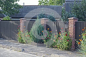 Flowers and grass with green coniferous ornamental trees near the brown brick and metal fence