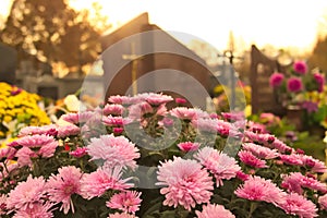 Flowers on a grave at cemetery photo