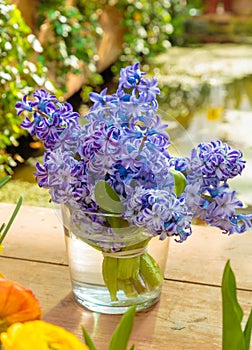 Flowers in green house. Floral bouquet shop. Blooming plants and multi color flowers inside a garden center