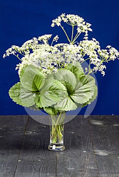 Flowers with green leaves in a vase