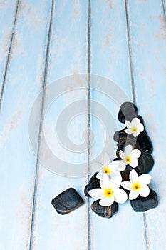 Flowers on group of black stone on wooen floor.