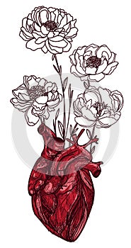 Flowers grow out of the heart hand sketch drawing