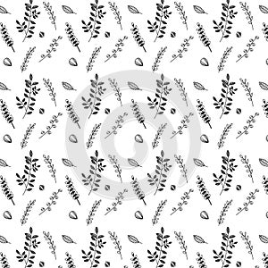 Flowers. Hand drawn doodle Wild Flowers. Floral Seamless pattern - Vector illustration. Black and white Floral background. Wildflo