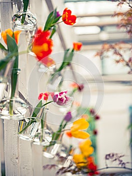 Flowers hang in glass containers in rows.