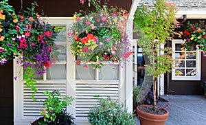 Flowers in the hanging baskets with window.