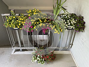 Flowers hanging on a railing from a staircase