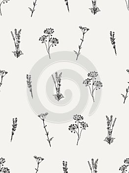 flowers herbal floral vector seamless pattern drawing vinatge design photo