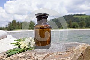Flowers and herbs essential oil bottles, natural aromatherapy with oils and essences