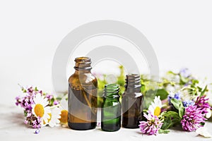 Flowers and herbs essential oil bottles, natural aromatherapy wi