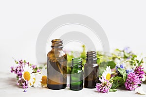 Flowers and herbs essential oil bottles, natural aromatherapy wi photo