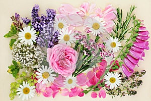 Flowers and Herbs for Herbal Medicine