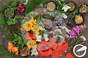 Flowers and Herbs for Herbal Medicine