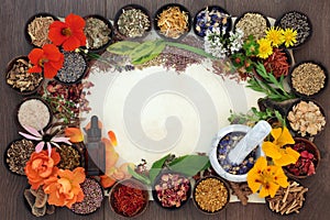 Flowers and Herbs for Herbal Medicine photo