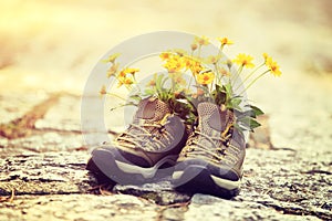 Flowers and hiking boots on trail
