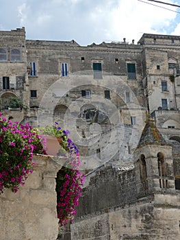 Flowers Historic Matera City in Southern Italy Apulia Italia Italian Romantic Sallo Salli photo