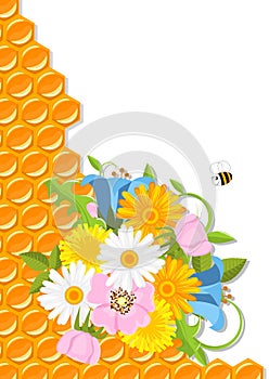 Flowers and honeycomb