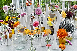 Flowers in Hothouse