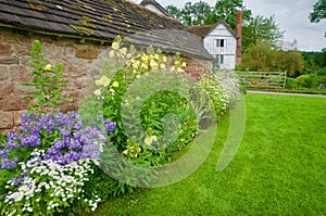 Flowers and the house