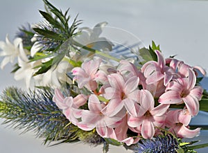 flowers hyacinths and eryngium on blue