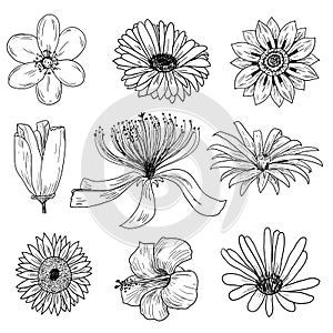 Flowers icons set, vector illustration