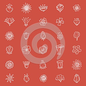 Flowers icons set, vector illustration