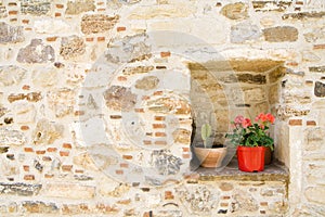 Flowers inside grunge wall