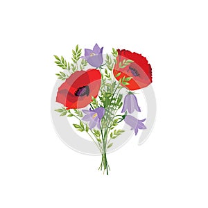 Flowers isolated. Floral summer bouquet. Meadow nature decor wit
