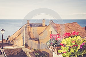 Flowers, italian riviera vintage