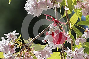 Flowers of Japanese cherry and martenitsa or martishor. Blossoming sakura. Cheerful concept of beginning of spring