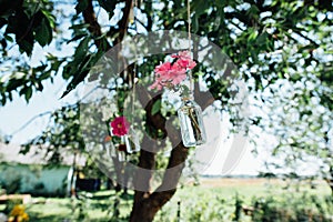 Flowers in a jar hanging on the tree