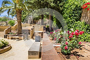 Flowers in the Jardines de Cuenca gardens of Ronda