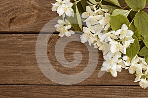 Flowers of jasmine on wooden background