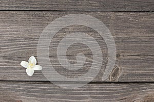 Flowers of jasmine on wooden background