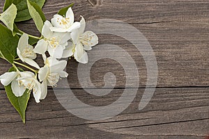 Flowers of jasmine on wooden background