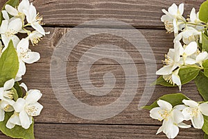 Flowers of jasmine on wooden background